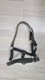 Pony halster, Dieren en Toebehoren, Ophalen of Verzenden, Gebruikt, Overige soorten