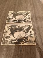 Sphinx tegel, Ophalen