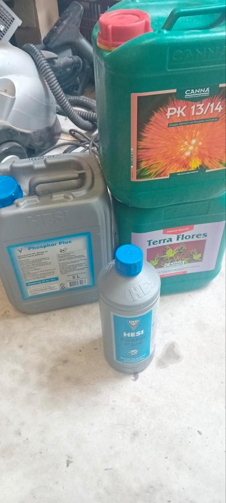 Voeding en 6 lampen tungsram 600w, Tuin en Terras, Kweekspullen, Kweeklamp, Ophalen