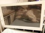 Solora televisie op 220/12 volt met afstandsbediening, Ophalen of Verzenden, Hout, Raamkozijn