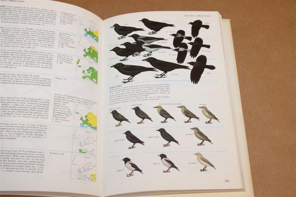 Vogels van Europa — Perrins & Attenborough Natuurgids 320p, Ophalen of Verzenden, Gelezen, Vogels