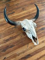 Muur ornament buffel, Huis en Inrichting, Woonaccessoires | Overige, Ossenkampad 25, Thrifter, Ophalen of Verzenden, The-Thrift-Store@outlook.com