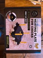 verwarmplaat kuiken, Geslacht onbekend, Kip