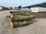 Diverse boomstammen, 6 m³ of meer, Ophalen, Overige houtsoorten, Stammen