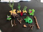 Playmobil cactus ed…., Ophalen of Verzenden, Zo goed als nieuw