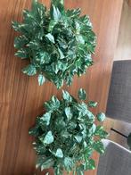 Smycka sierslinger plant groen, Ophalen, Zo goed als nieuw