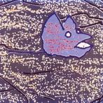 cd van Bluebird ‎– Bluebird, Ophalen of Verzenden, Zo goed als nieuw, Poprock