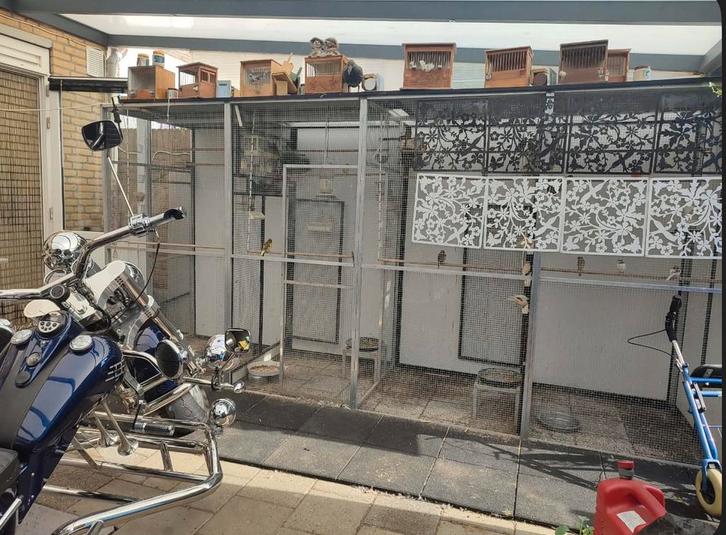 Voliere vluchten papegaai parkiet aluminium trespa, Dieren en Toebehoren, Vogels | Hokken en Kooien, Volière, Aluminium, Ophalen