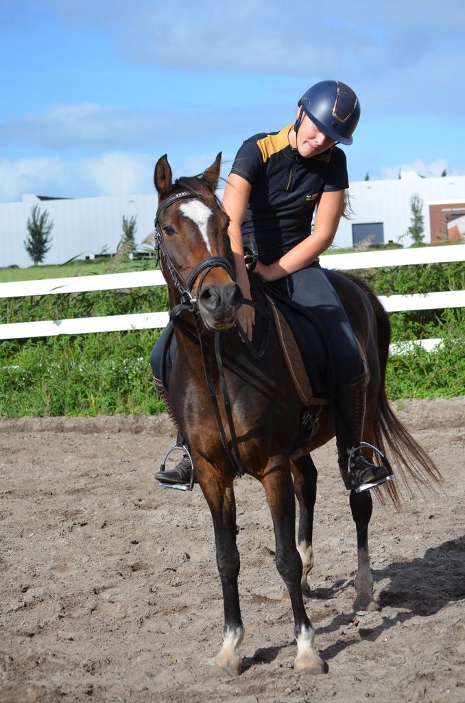 Verzorger/bijrijder aangeboden verzorg pony gezocht, Ophalen of Verzenden, Zo goed als nieuw