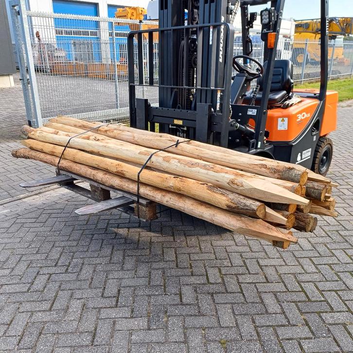Kastanje palen 8-10 cm dik/lengte 3 meter., Tuin en Terras, Palen, Balken en Planken, Nieuw, Palen, 250 cm of meer, Ophalen
