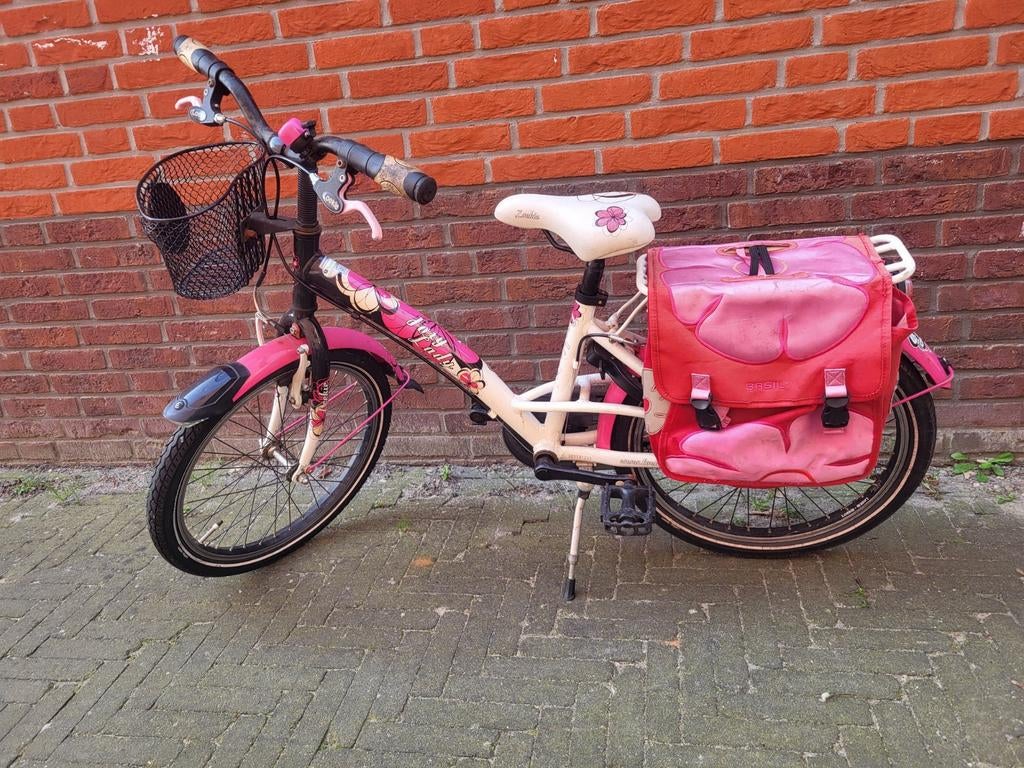 Meisjes fiets van Loekie 20 inch, Minder dan 47 cm, Ophalen, Gebruikt, Overige merken