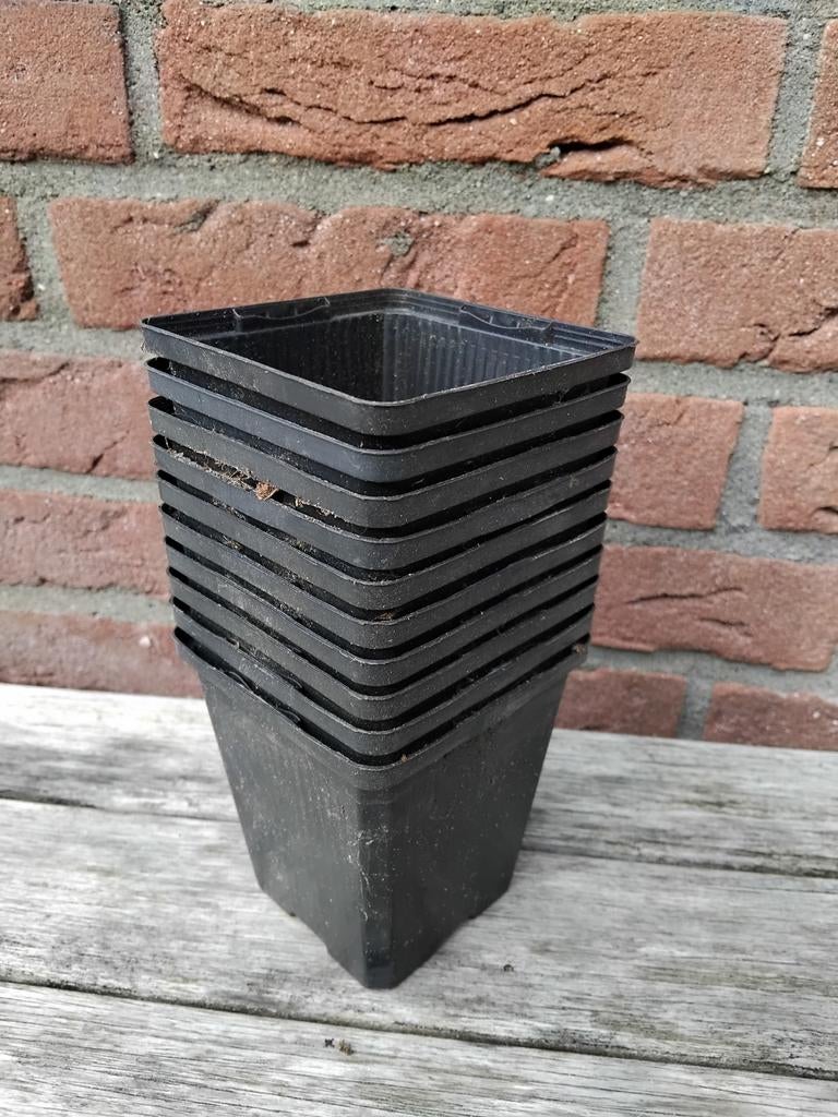 Kweekbakjes 9.5 cm hoog, 9x9 cm, 10 stuks, Tuin en Terras, Kweekspullen, Ophalen of Verzenden, Gebruikt