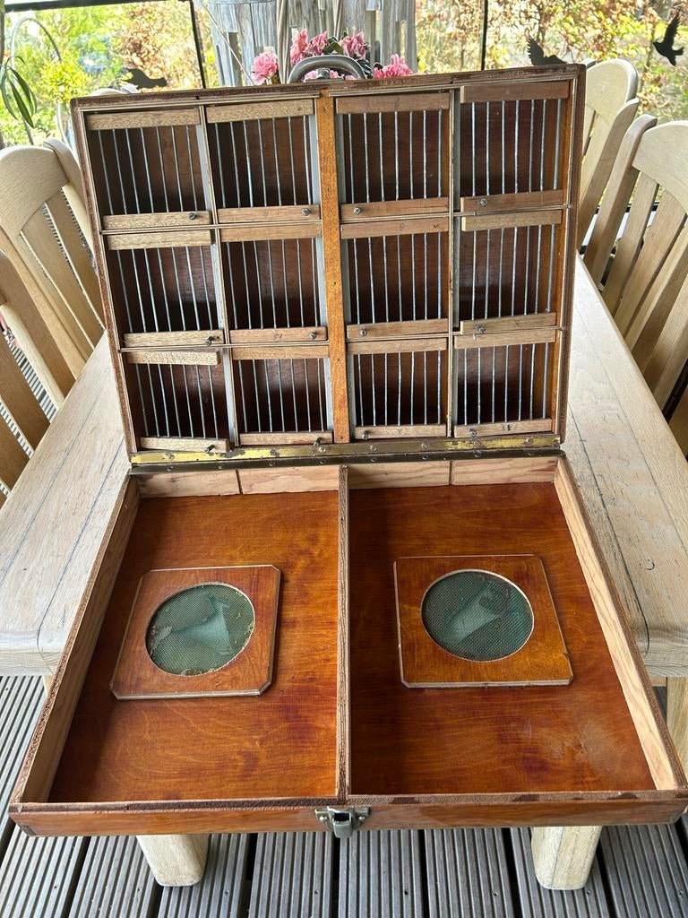 Kanarie vervoer kist, Ophalen of Verzenden, Hout, Vogelkooi