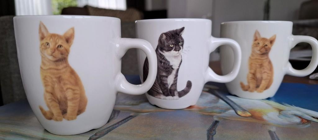 Francien's katten Senseomokjes, Ophalen of Verzenden, Gebruikt, Steen/keramiek, Meerkleurig