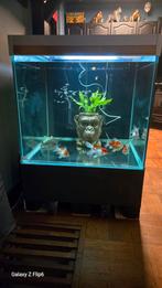 Prachtige aquarium bak, Ophalen, Zo goed als nieuw, Leeg aquarium
