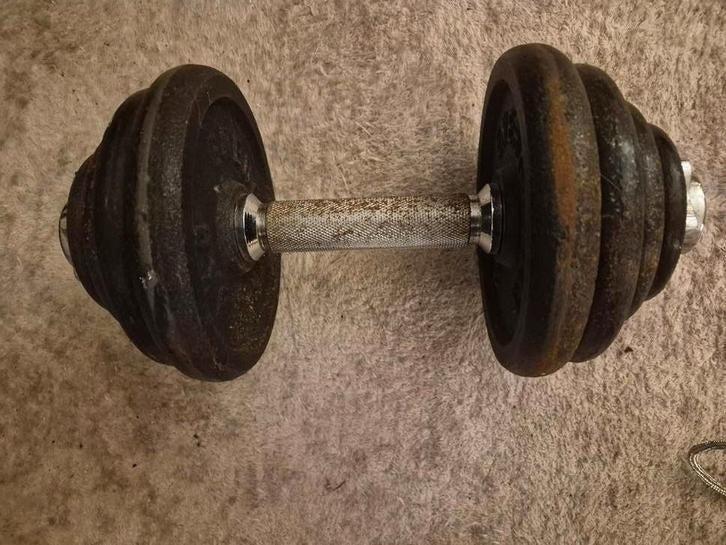 Metalen Dumbbell 15kg, Ophalen, Gebruikt, Rug, Dumbbell