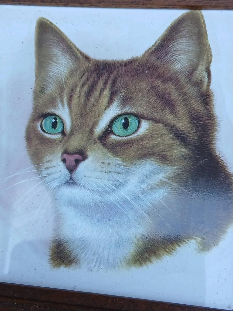 Tegel mosa met poes, Ophalen of Verzenden