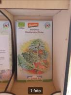 Boerenkoolzaden., Ophalen of Verzenden, Najaar, Volle zon, Zaad