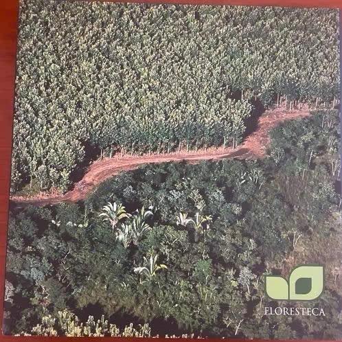 Tien jaar in teak, Floresteca, Ophalen of Verzenden, Zo goed als nieuw, Natuur algemeen