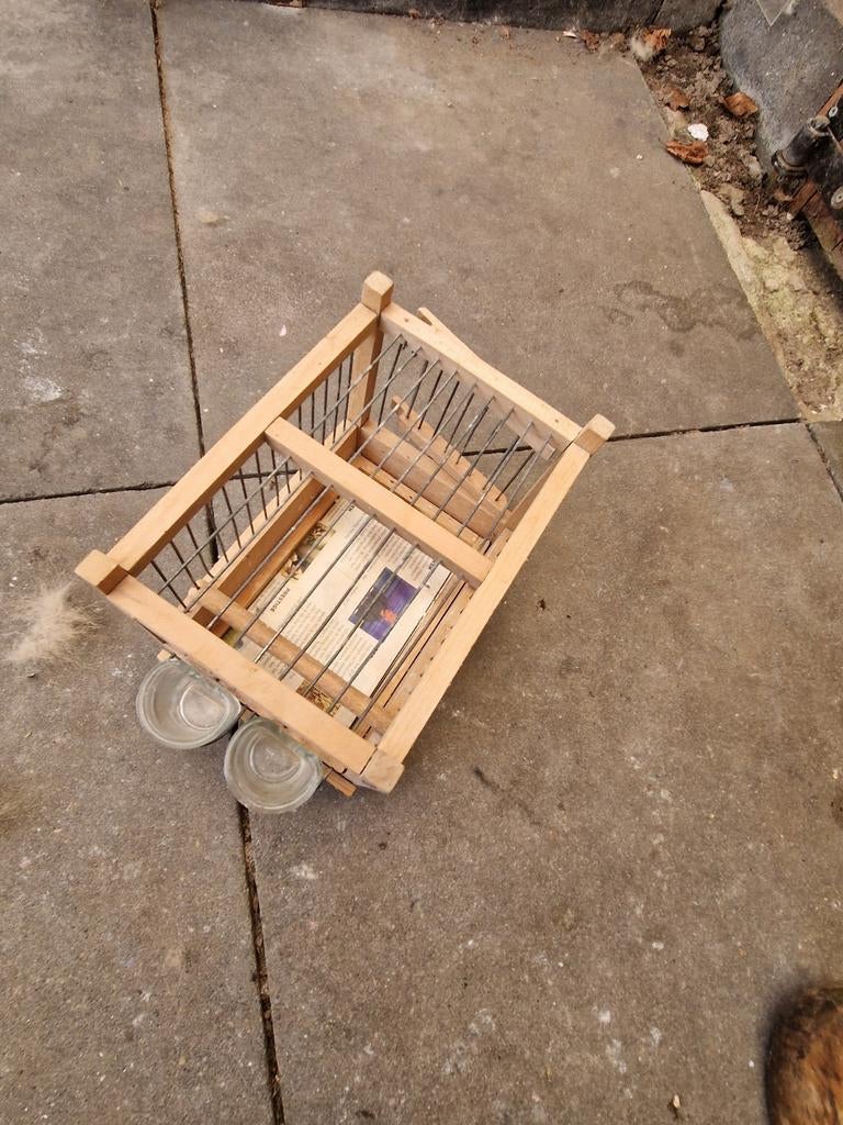 Vogelkooi vangkooi voor kleine vogels 2, Ophalen of Verzenden, Zo goed als nieuw