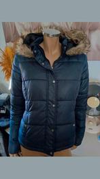 Mooie donkerblauwe gewatteerd winterjas Clockhouse maat 38, Maat 38/40 (M), Blauw, Ophalen of Verzenden, Clockhouse