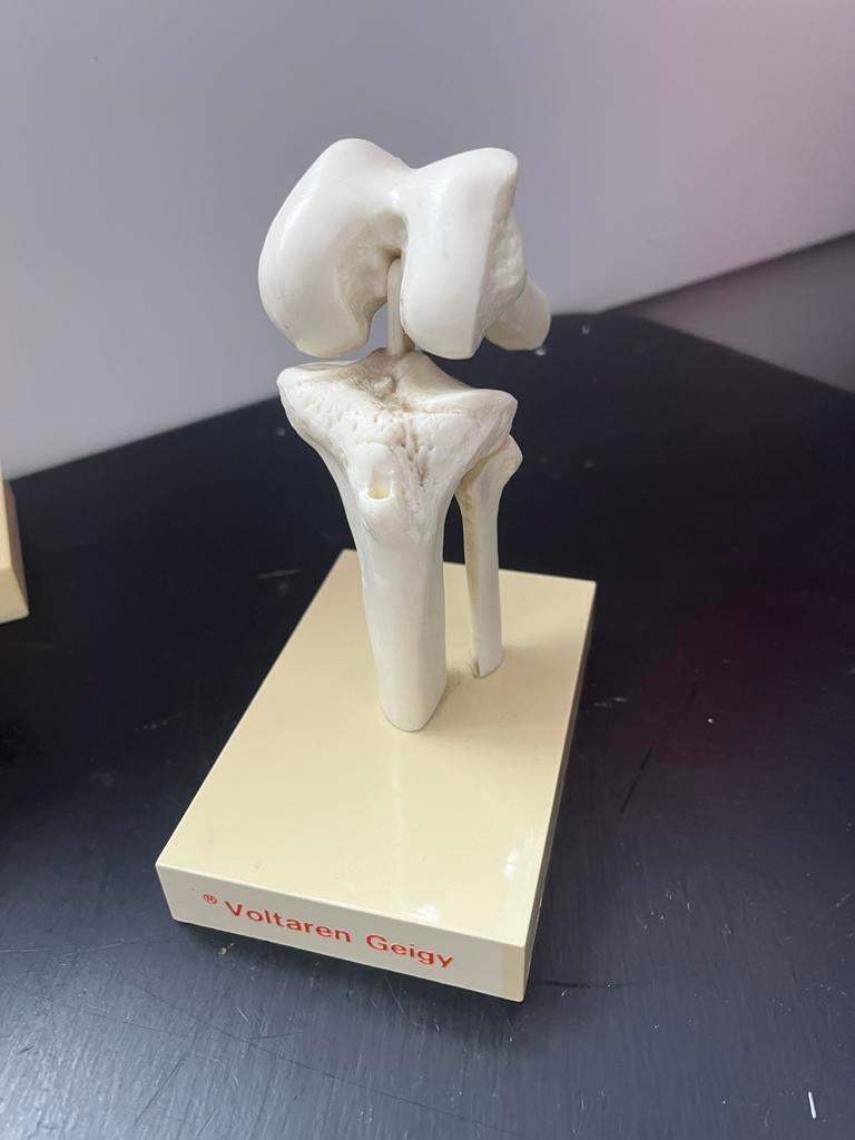 Knie, Ophalen of Verzenden, Knie, Knie, Knie