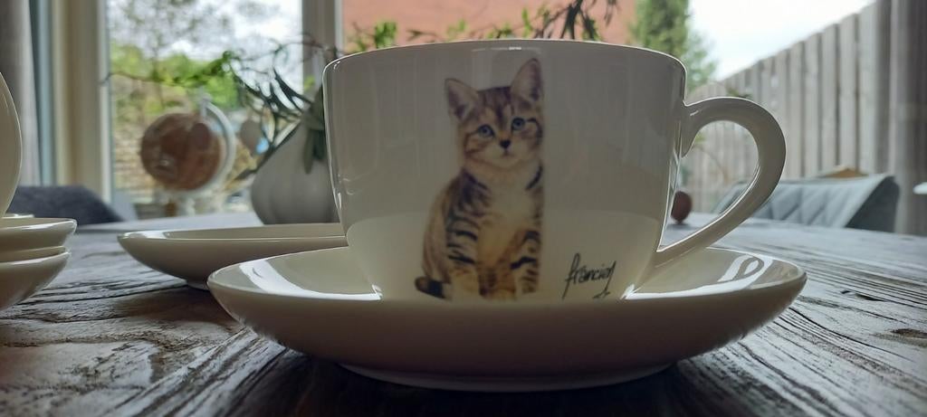 Francien kop en schotels met kattenprint, Ophalen
