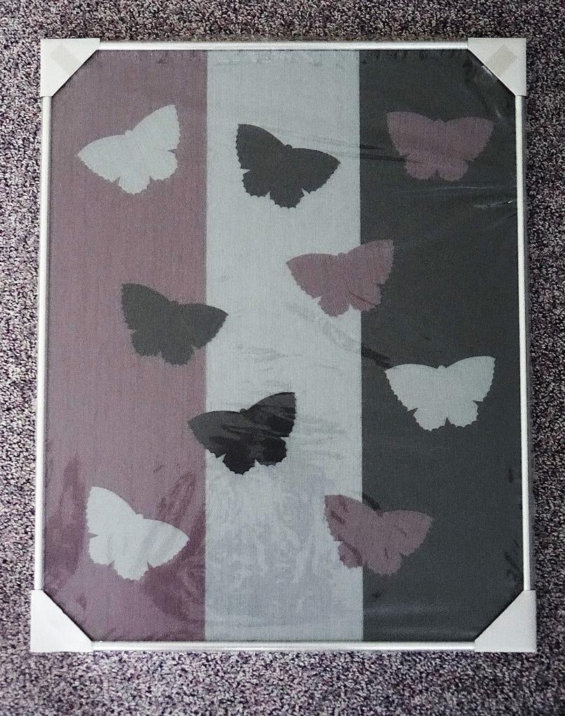 Lijst zilverkleurig 40x50 cm, ontspiegeld glas, met vlinders, Ophalen, Nieuw