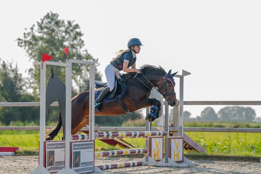 Lieve allround C pony te koop, Dieren en Toebehoren, Pony's, Merrie, Met stamboom, 11 jaar of ouder, L