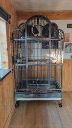Papagaaien kooi, Dieren en Toebehoren, Vogels | Hokken en Kooien, Ophalen of Verzenden, Zo goed als nieuw, Metaal, Vogelkooi