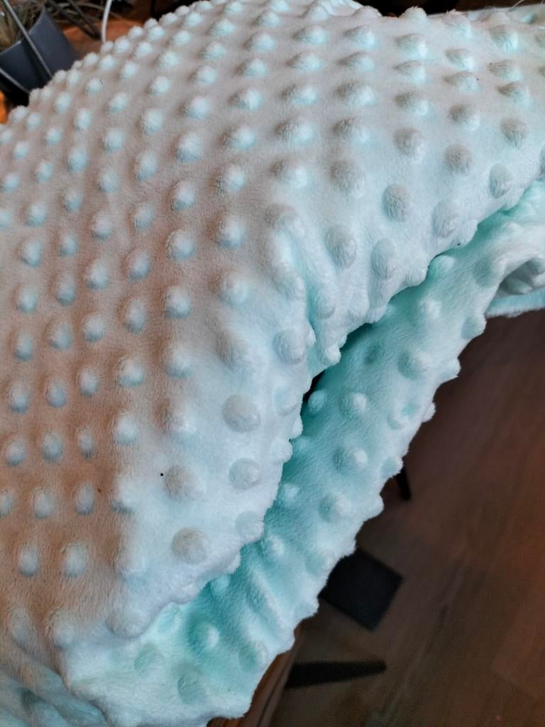 Grote lap minkystof - mint, Hobby en Vrije tijd, Stoffen en Lappen, Ophalen of Verzenden, Zo goed als nieuw