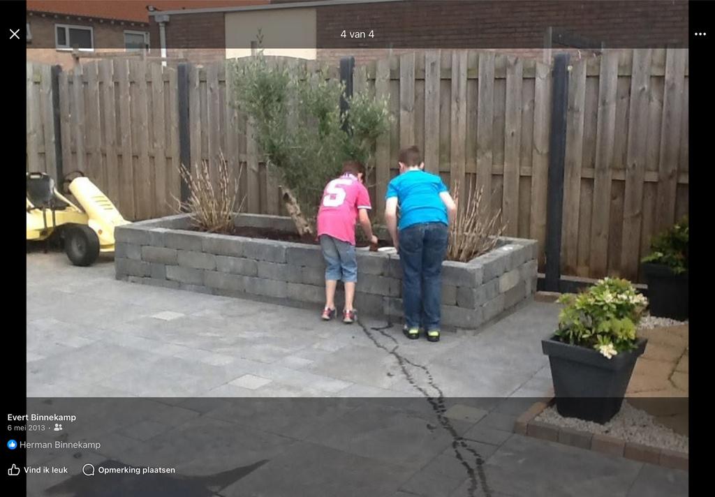 Gratis stapelblokken, zand en olijfboom, Tuin en Terras, Ophalen, Gebruikt, 100 cm of meer, Beton