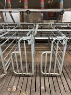 Dekboxen [239], Meerdere dieren, Schaap