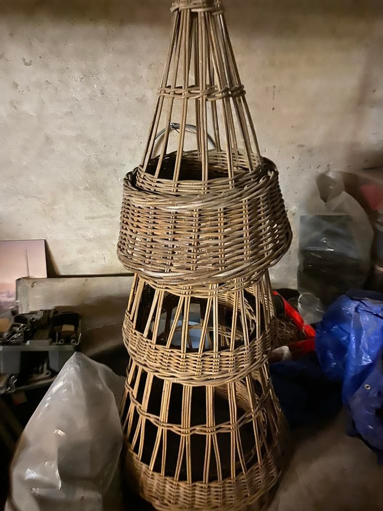 Kerstboom van riet, Ophalen