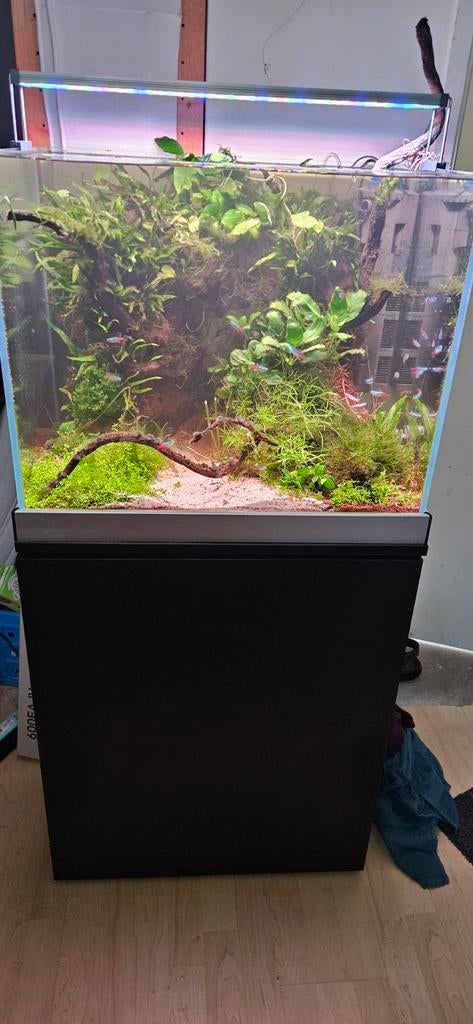 Aquascape aquarium. Optic white 130 liter., Dieren en Toebehoren, Vissen | Aquaria en Toebehoren, Ophalen, Inclusief toebehoren