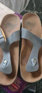 Slippers, Kleding | Dames, Schoenen, Slippers, Scholl, Bruin, Ophalen of Verzenden