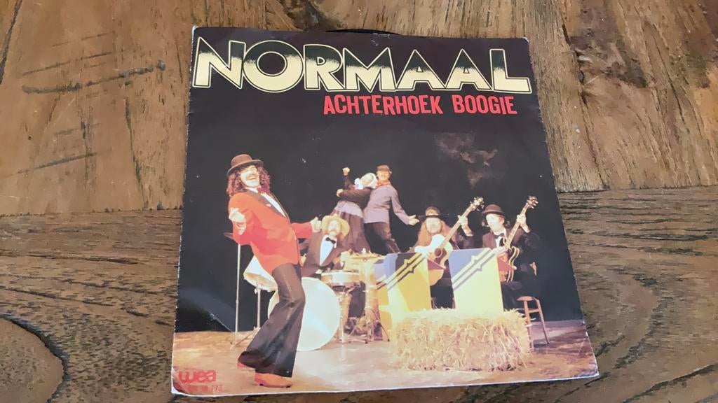 Normaal. Achterhoek Boogie, Cd's en Dvd's, Ophalen of Verzenden, Zo goed als nieuw, Nederlandstalig