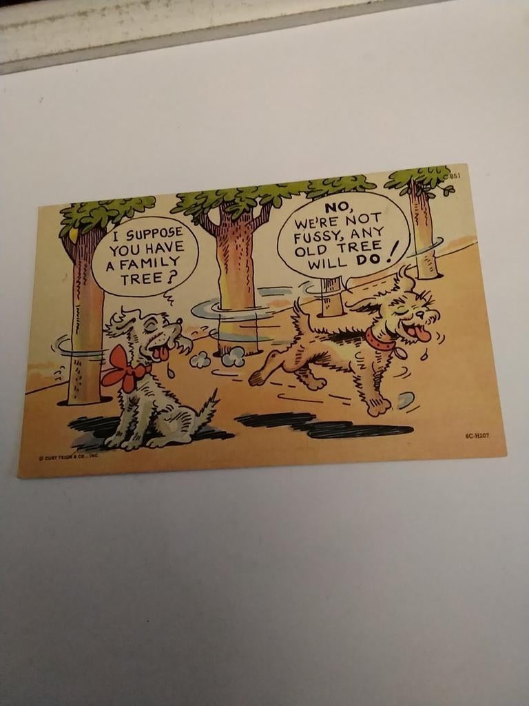 I SUPPOSE YOU HAVE A FAMILY TREE?, Ophalen of Verzenden, Voor 1920, Overige thema's