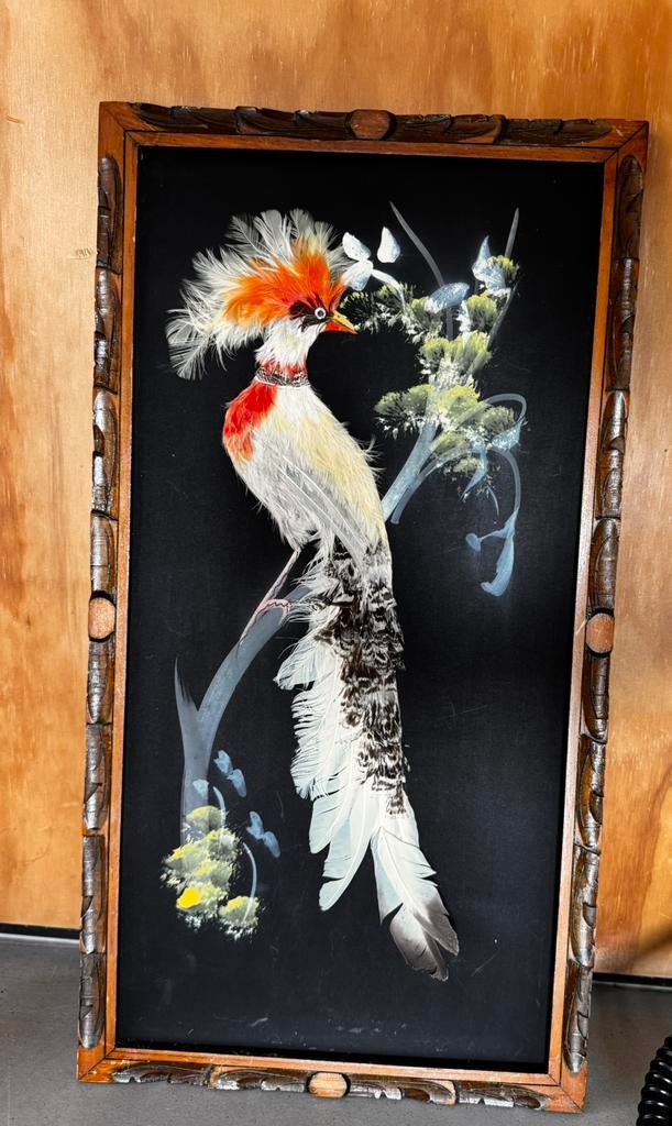 Vintage lijst met paradijsvogel gemaakt van veren, Ophalen of Verzenden