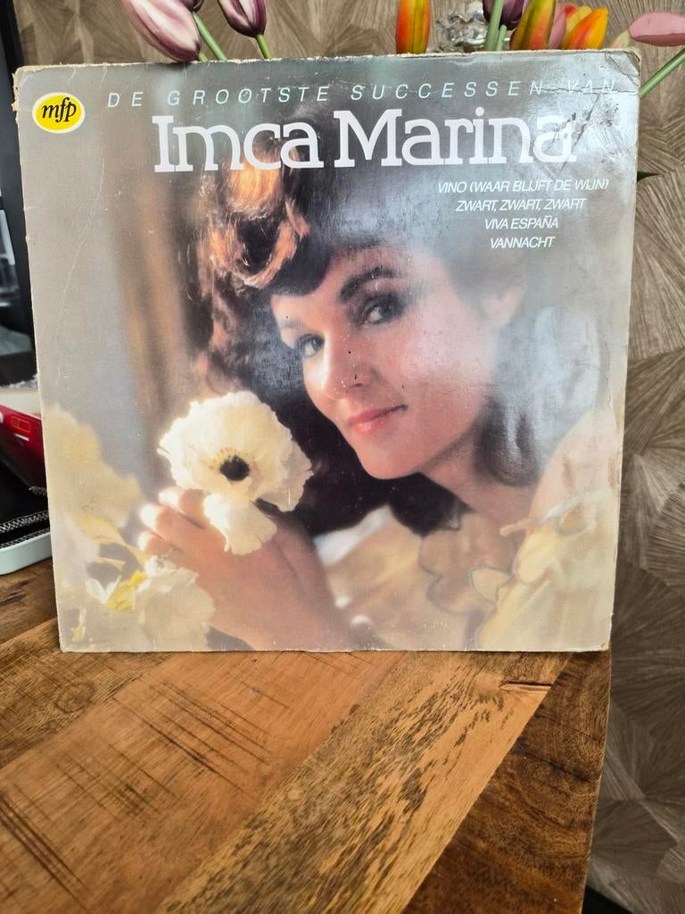 Imca marina, Ophalen of Verzenden, 12 inch