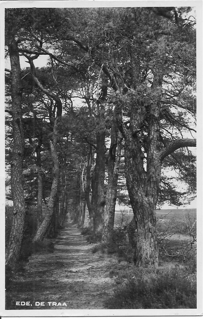 Ede De Traa, Verzamelen, Ansichtkaarten | Nederland, Ophalen of Verzenden, 1940 tot 1960, Gelopen, Gelderland