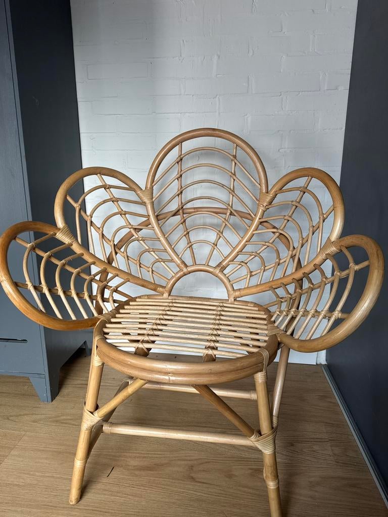 Rotan stoel, Huis en Inrichting, Stoelen, Ophalen, Zo goed als nieuw, Bruin, Eén