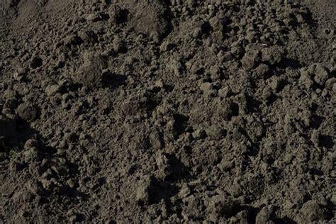 Gezocht: storten schoon zwart zand / tuinaarde in onze tuin, Ophalen, Zo goed als nieuw, Overige typen