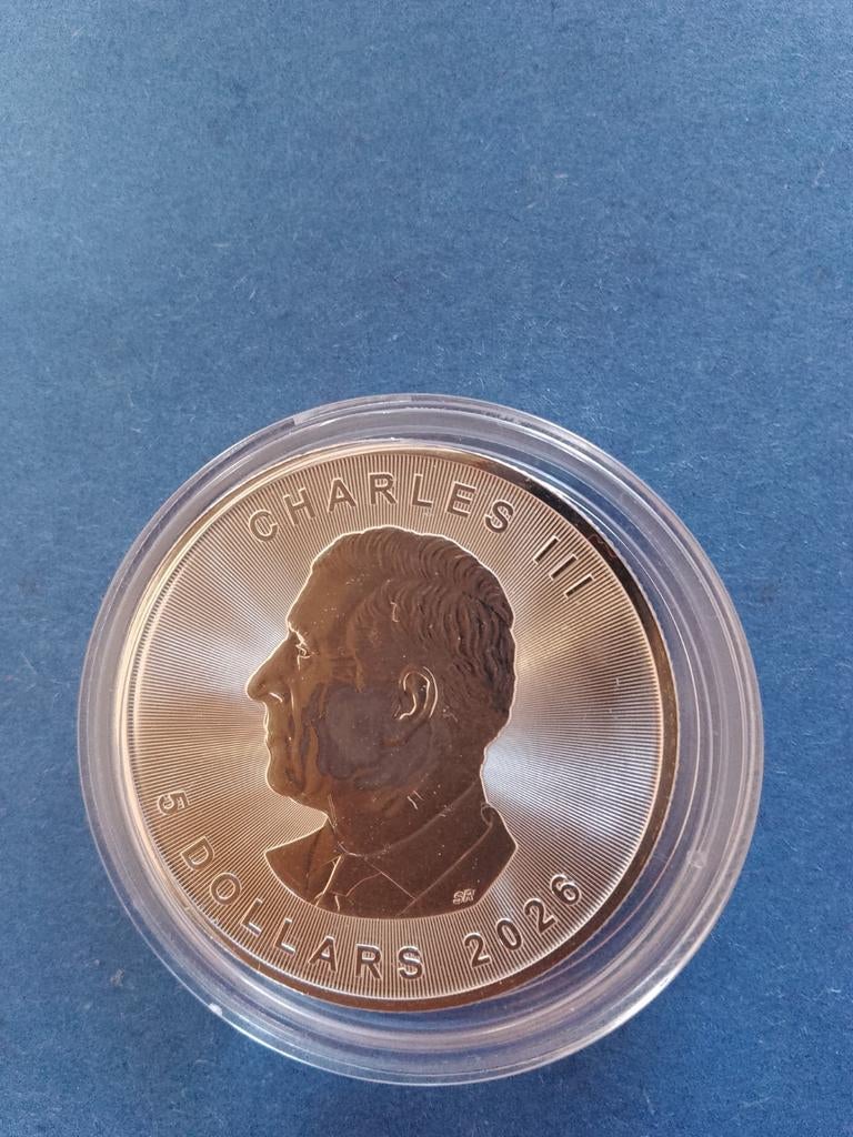 Maple Leaf 2008 1 oz zilver, Ophalen of Verzenden, Zilver