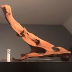 Uniek stuk Kienhout / Driftwood / Spiderwood, Hout Decoratie, Ophalen of Verzenden, Plant(en), Steen of Hout