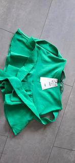 Zara rokje maat M 36 38 groen nieuw., Kleding | Dames, Rokken, Zara, Nieuw, Ophalen of Verzenden, Maat 36 (S)
