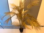 Gouden palm, Ophalen, Gebruikt