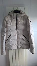 Cast Iron Winterjas XL - Nieuw, Beige, Ophalen of Verzenden, Cast Iron, Maat 56/58 (XL)