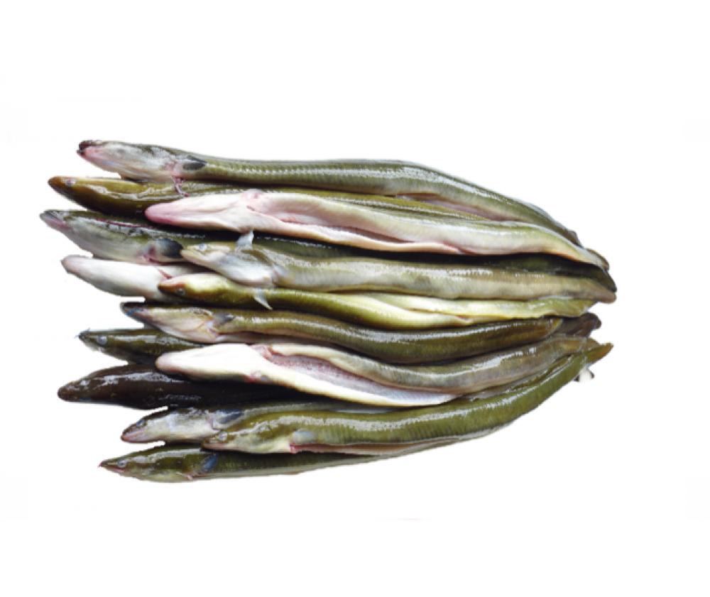 Gezocht Paling om te roken, Ophalen