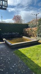 Vijver., Ophalen of Verzenden, Gebruikt